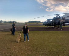 Policiais civis e cães policiais em treinamento com aeronave 