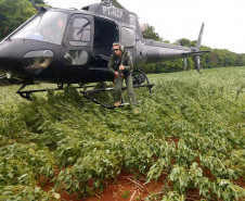 Helicóptero do GOA pousa em plantação e policial acaba de descer na aeronave