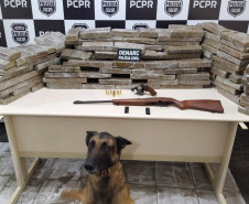 Cão farejador da polícia civil em frente a uma mesa com diversos tabletes de droga e armas