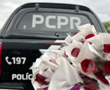 PCPR realiza ação do Outubro Rosa em shopping de Curitiba 