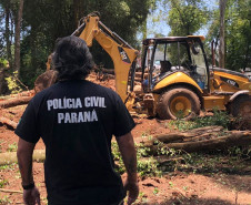 PCPR prende homem por corte ilegal de árvores em Curitiba