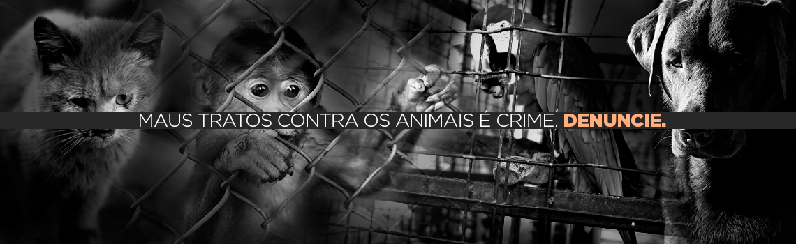 Banner Proteção Animal