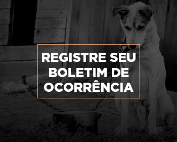 Registre seu Boletim de Ocorrência