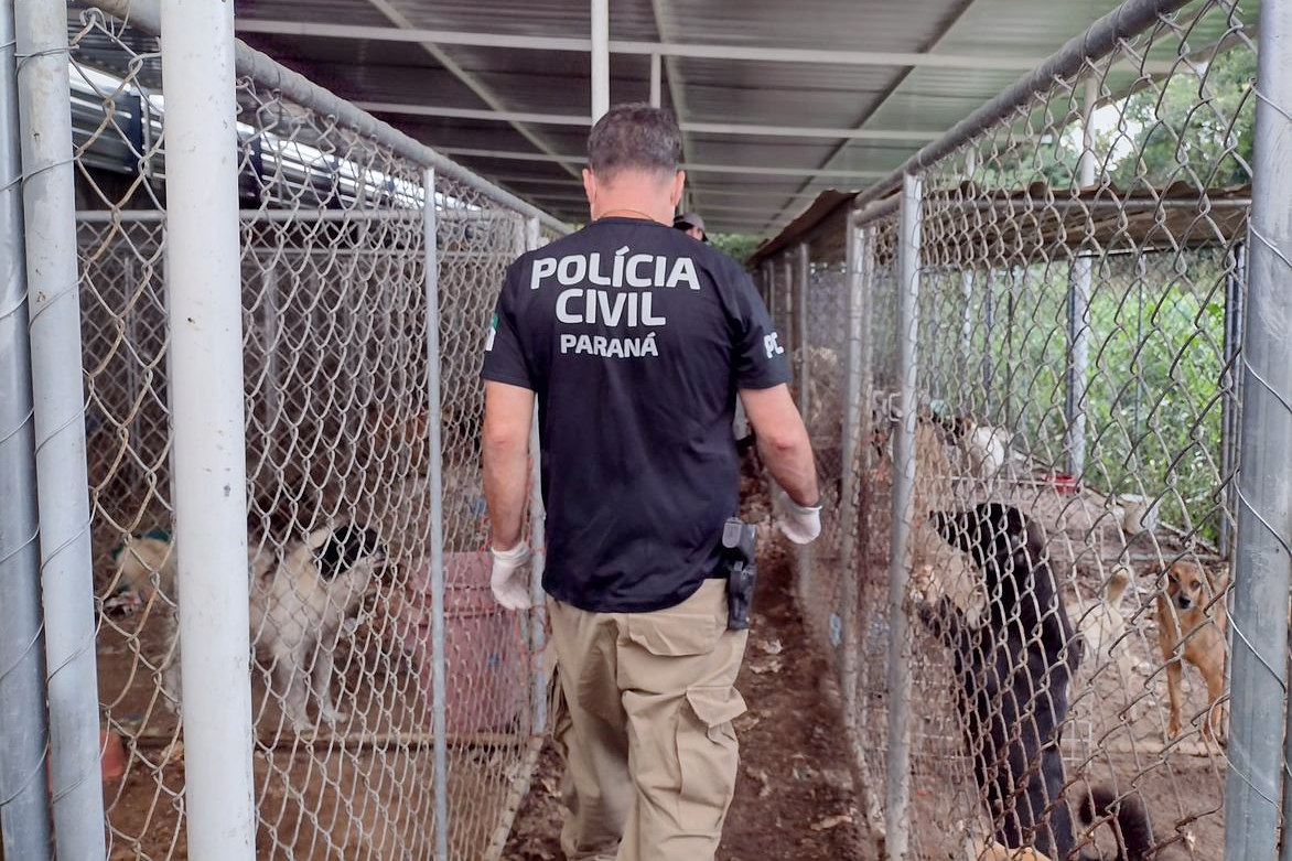 PCPR salva 300 cães em maior ação de resgate da história do Paraná