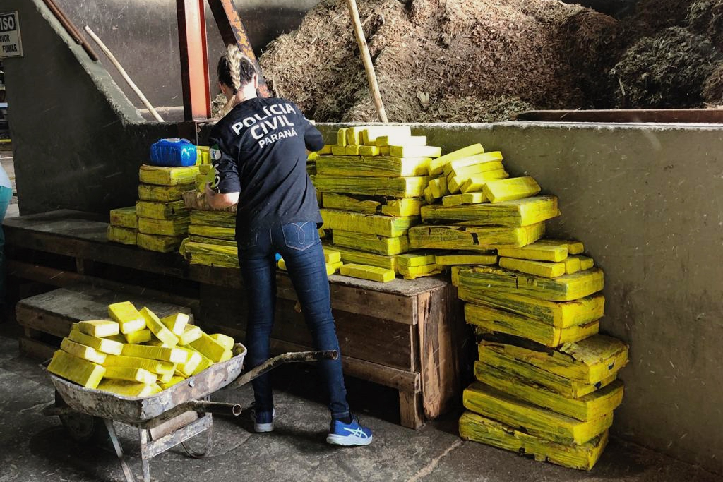 Policial civil separa tabletes de droga para incineração