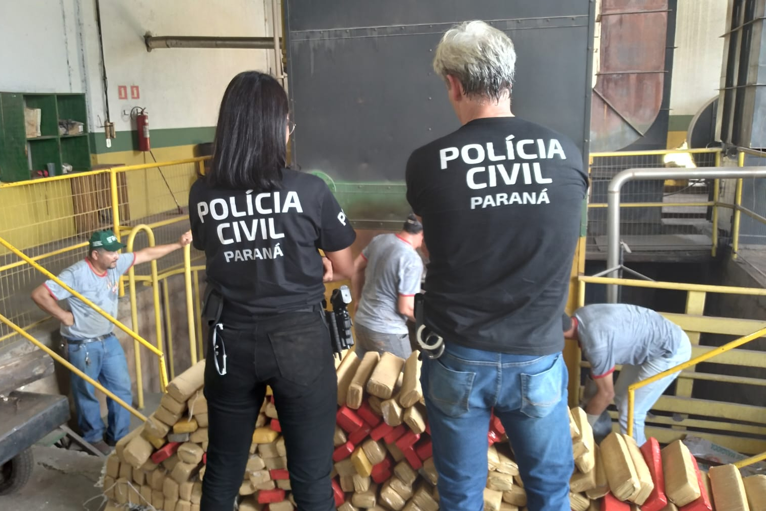 PCPR incinera mais de 1 tolenada de maconha em Icaraíma
