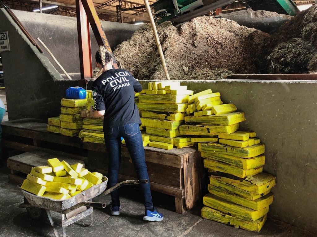 PCPR incinera 300 quilos de drogas em Mandaguari