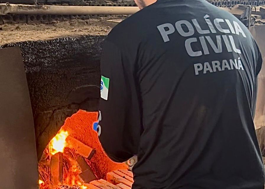 PCPR incinera mais de 10 quilos de drogas em Salto do Lontra