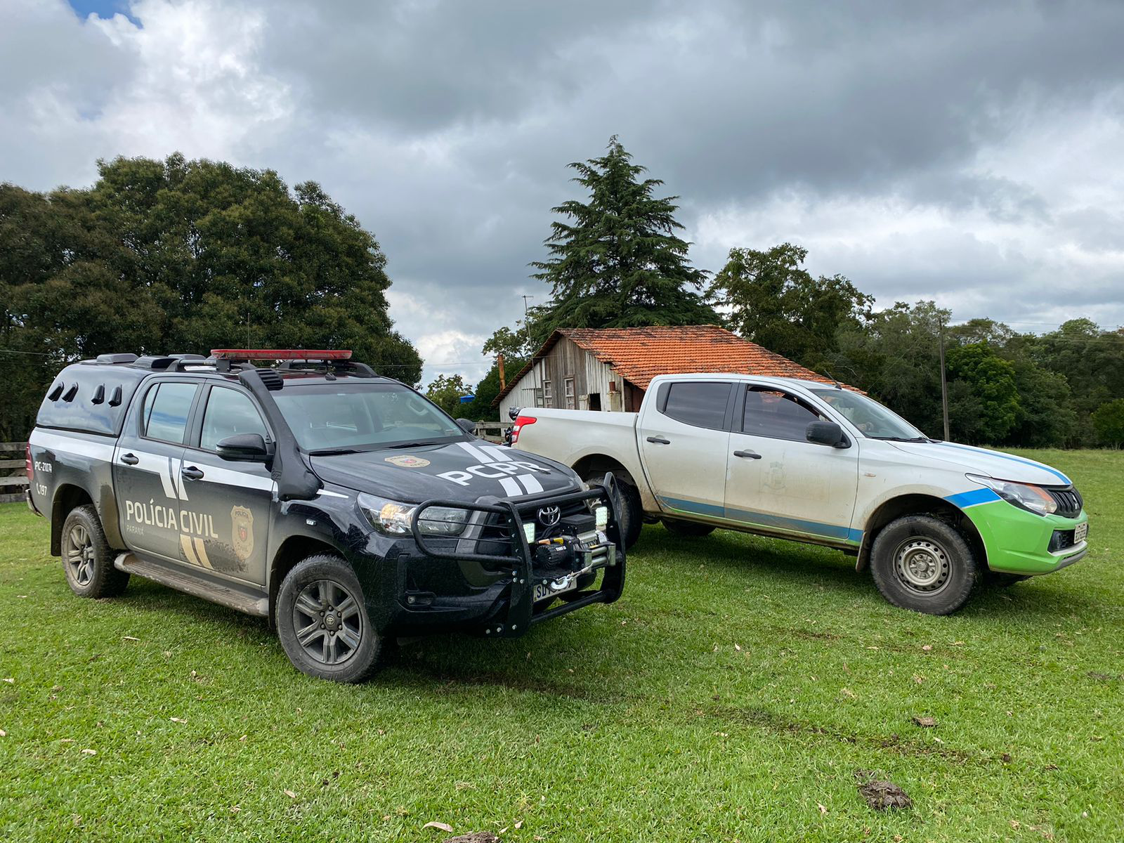 PCPR realiza operação de combate aos maus-tratos de animais em Palmeira