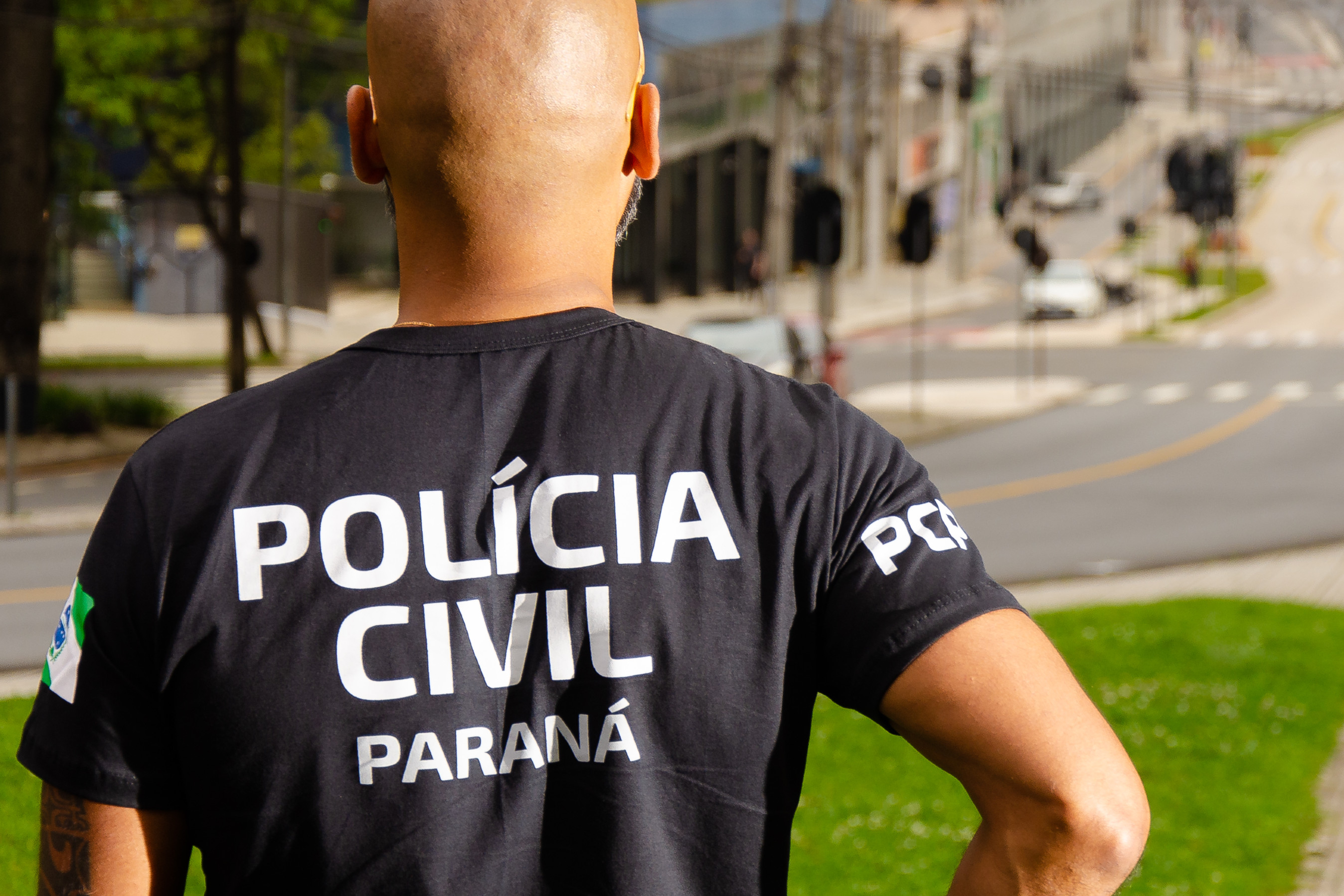 PCPR incinera mais de 200 quilos de drogas em Palmeira