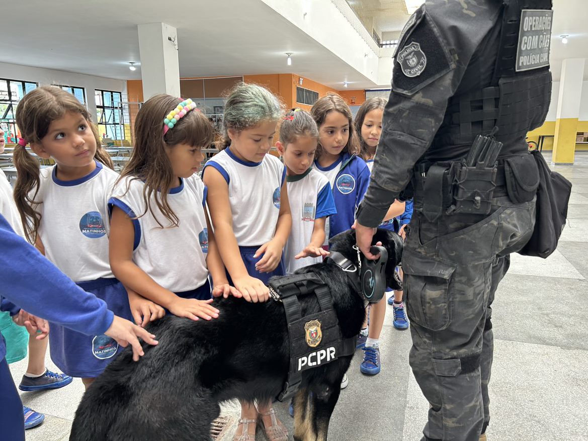 PCPR na Comunidade oferece serviços de polícia judiciária para a população de Tijucas do Sul