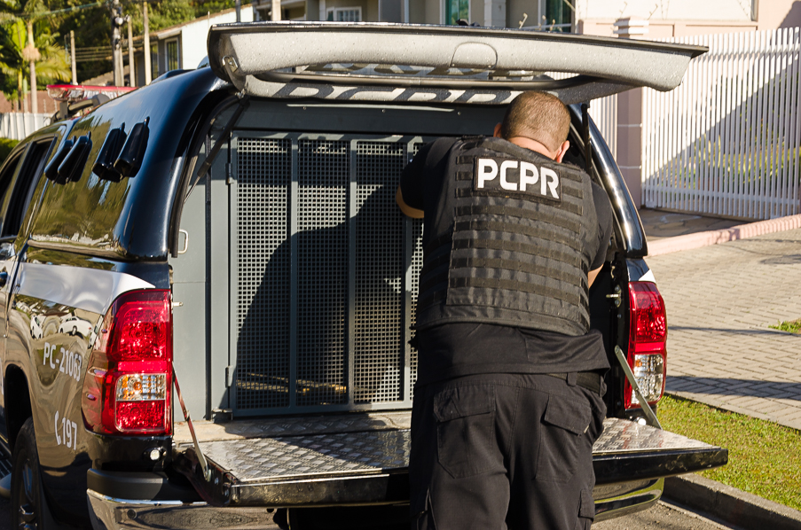 PCPR prende suspeito de roubar celulares em transportadora na Capital 