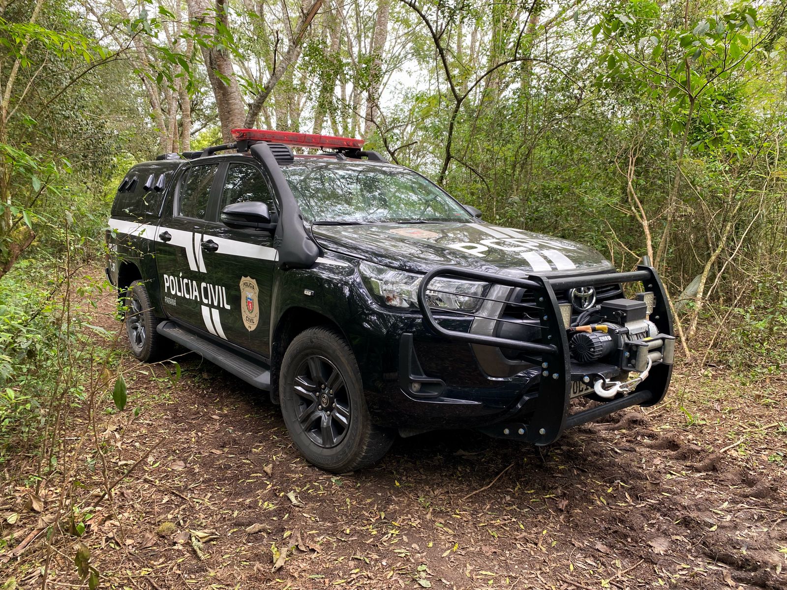 PCPR realiza operação de fiscalização e combate à crimes ambientais em Porto Amazonas e Palmeira