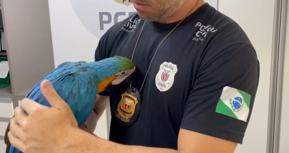 tráfico