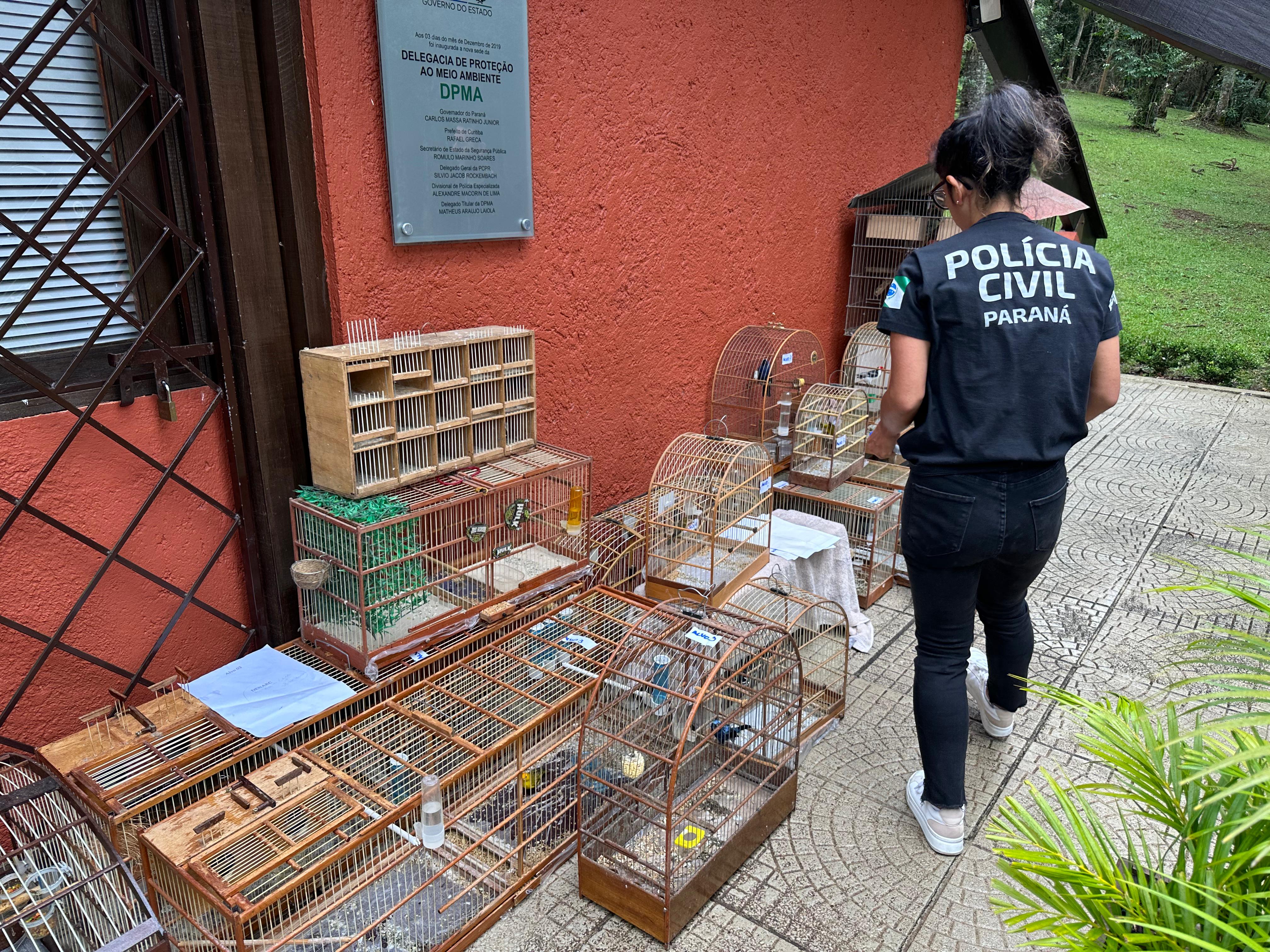 PCPR prende nove pessoas e apreende 390 animais silvestres em operação contra organização criminosa ligada ao tráfico de animais