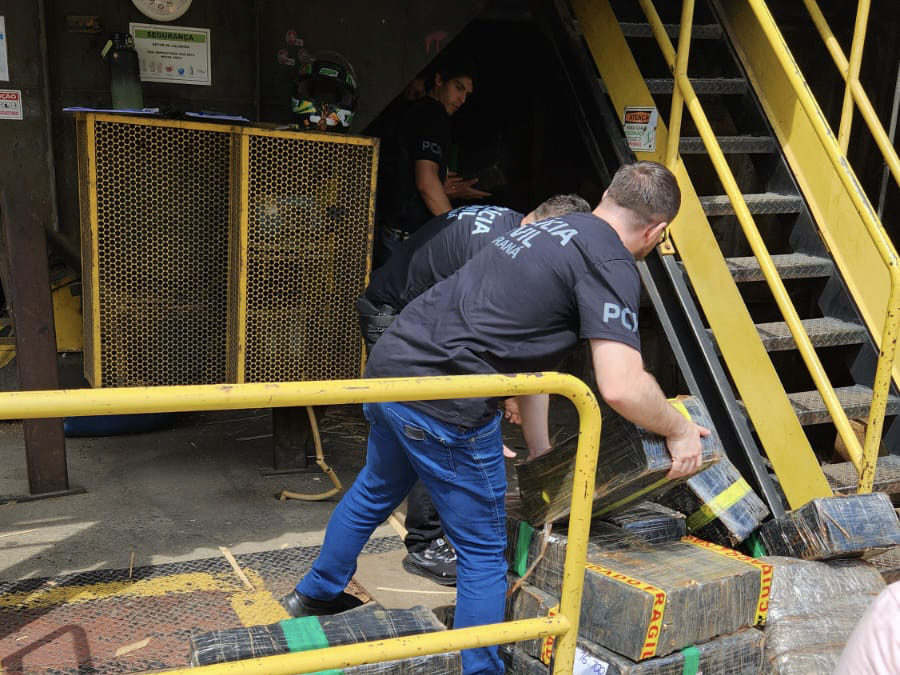 PCPR e PMPR incineram duas toneladas de drogas em Irati