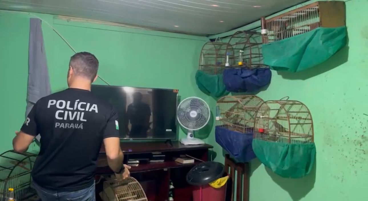 PCPR prende homem por tráfico de animais e maus-tratos em Curitiba