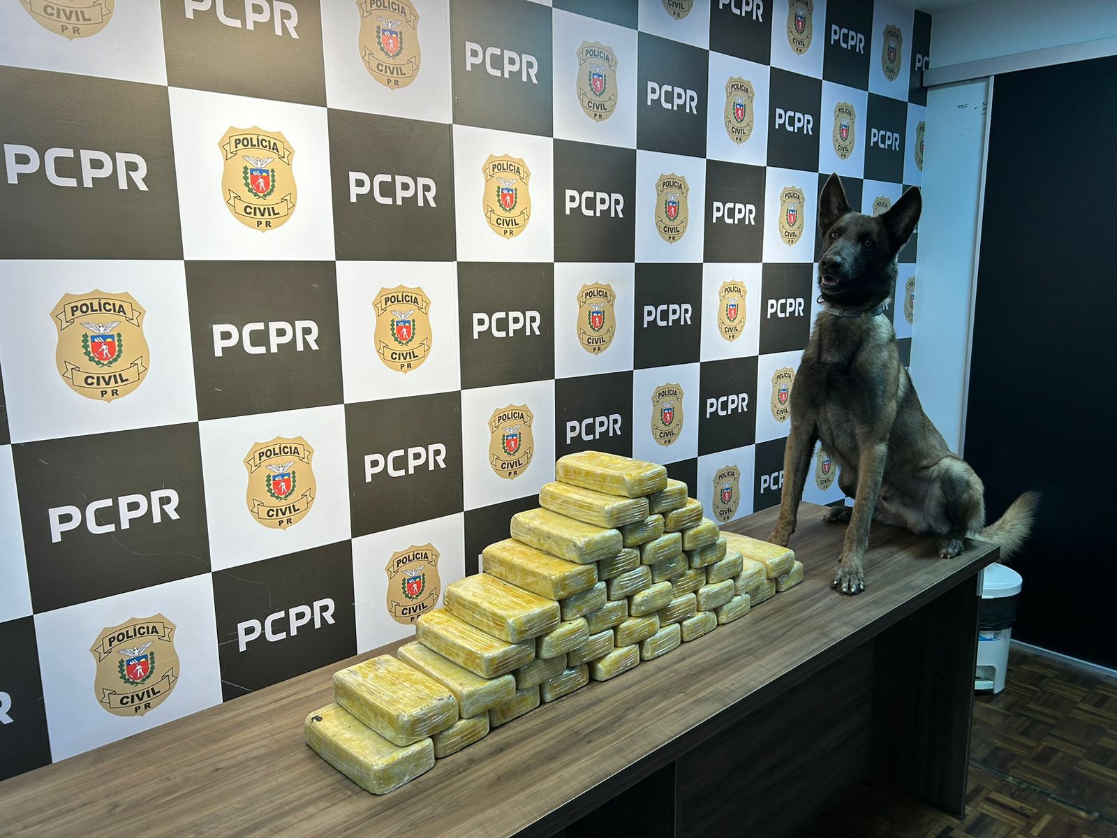 PCPR apreende 41,2 quilos de crack em Ponta Grossa