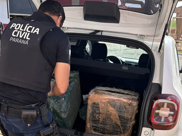 PCPR incinera mais de meia tonelada de drogas em Cidade Gaúcha