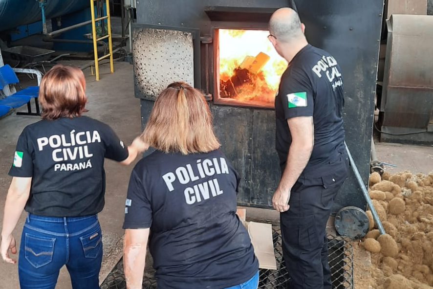PCPR incinera 1,5 tonelada de maconha em Tibagi
