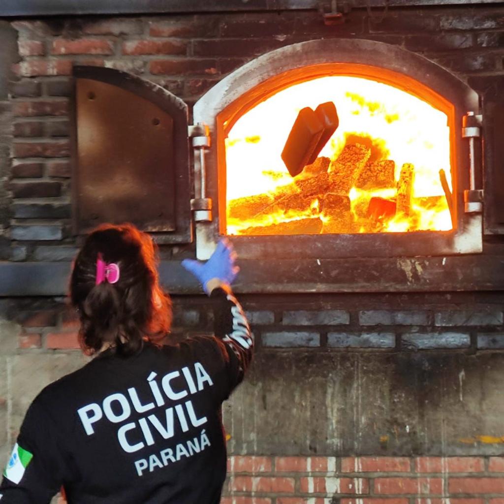PCPR incinera 977 quilos de drogas em Palmeira