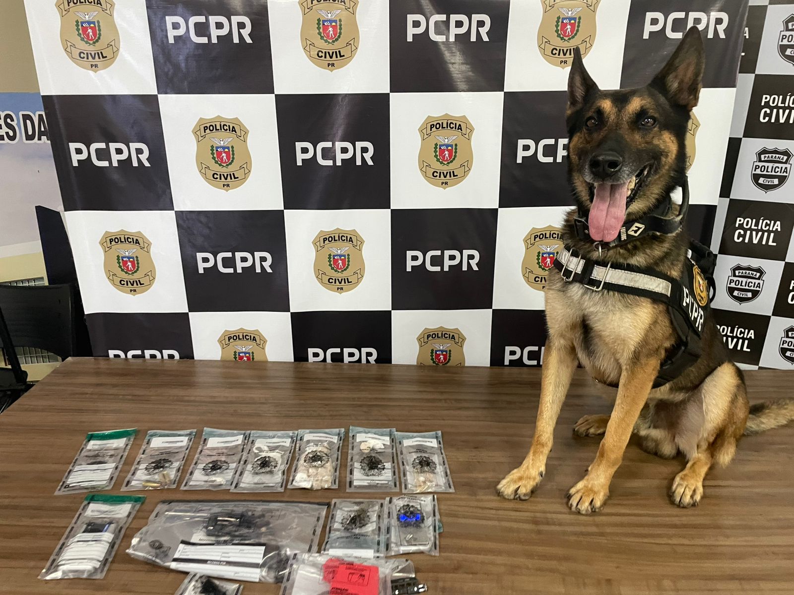 PCPR prende mãe e apreende filho em flagrante por tráfico de drogas em Francisco Beltrão