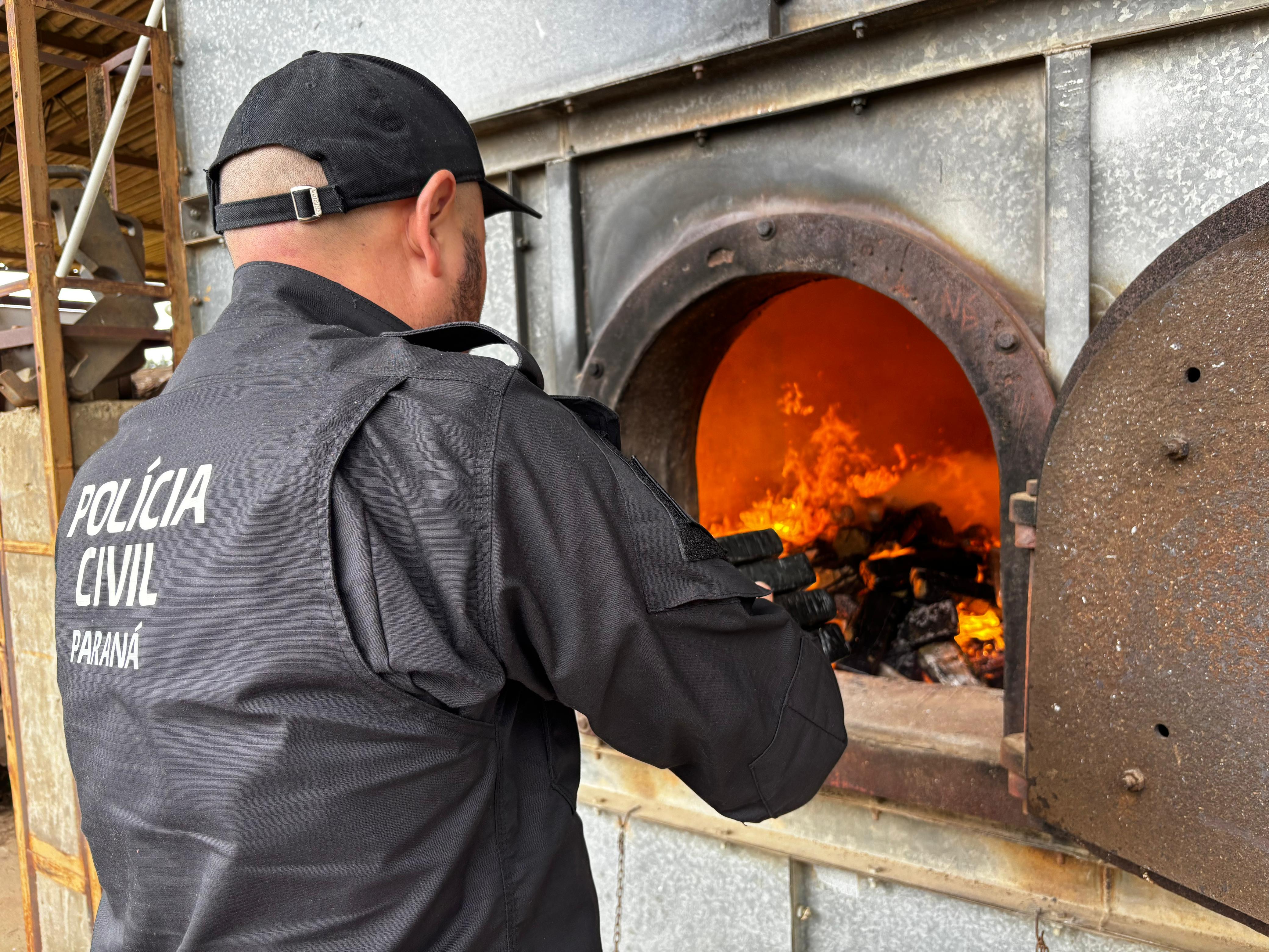 PCPR realiza incineração de mais de 723 quilos de drogas em Palmeira