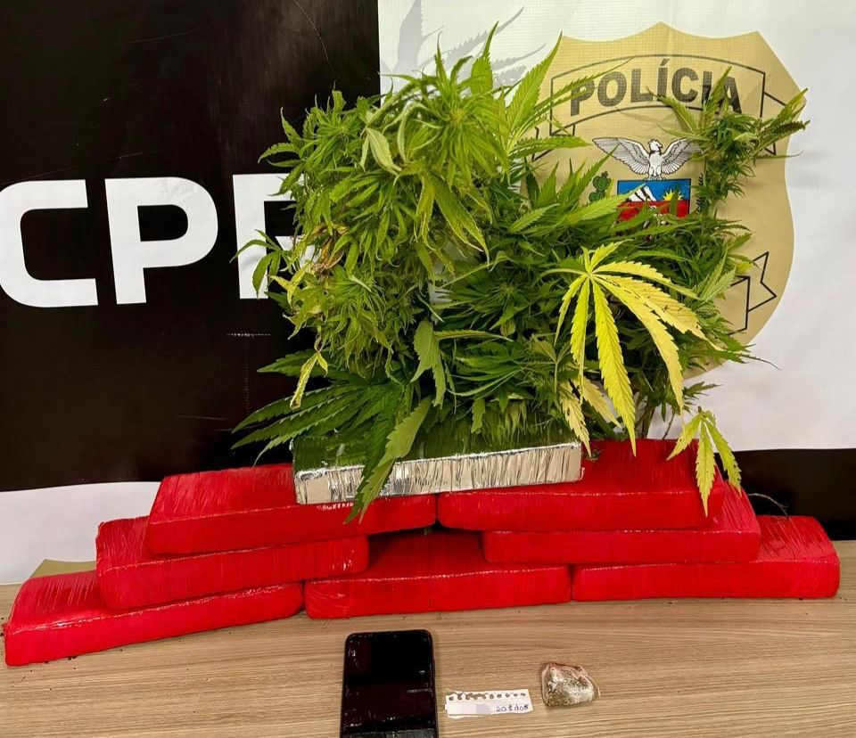 PCPR apreende 43 pés de maconha, mais de 4,7 quilos da droga e prende homem em Ortigueira
