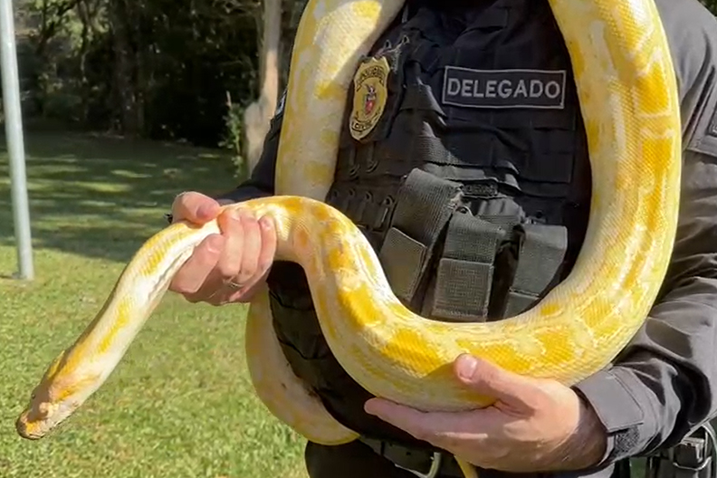 PCPR prende 16 e resgata 1 mil animais em operação contra tráfico internacional de espécies