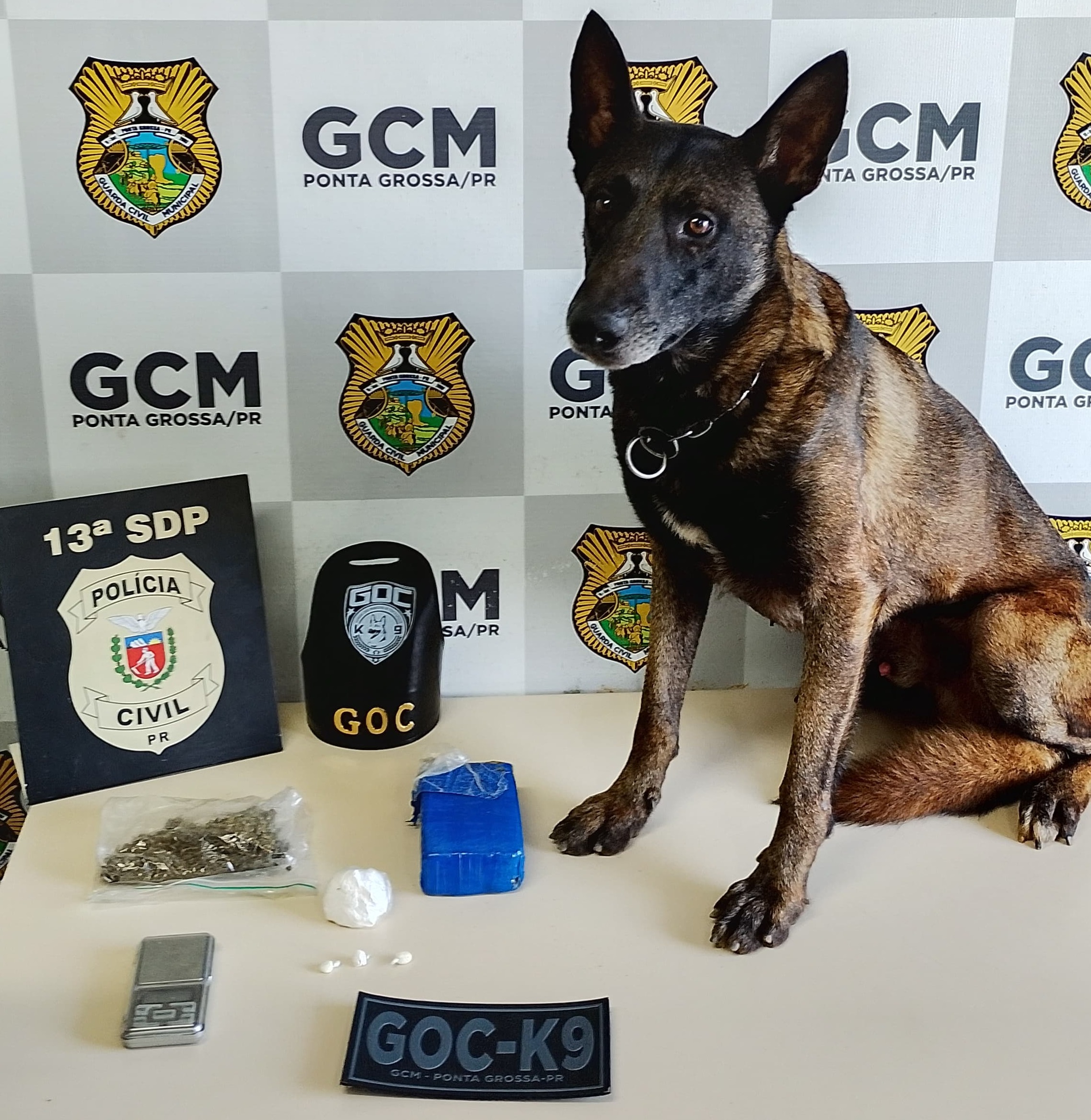 PCPR e GCM apreendem drogas durante ação em Palmeirinha