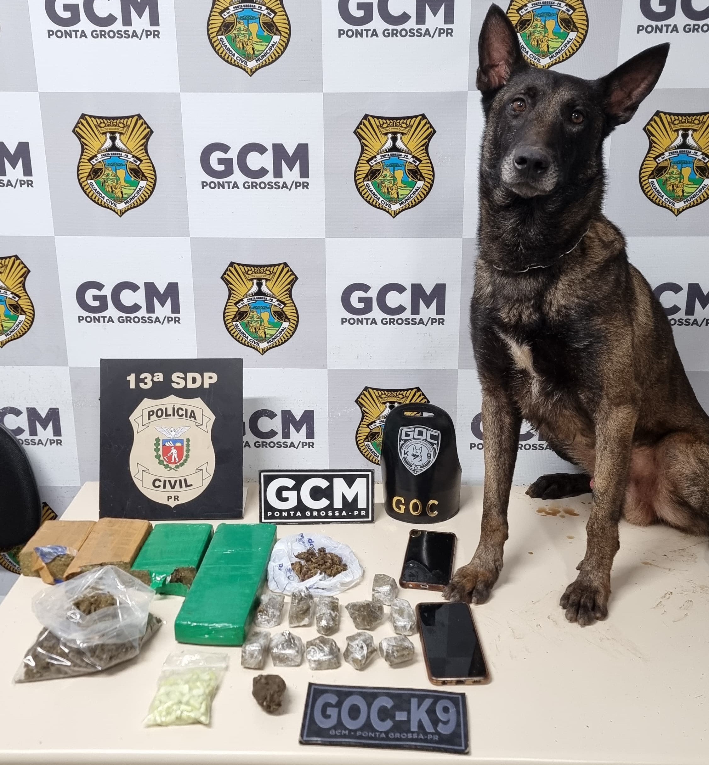 PCPR e GM apreendem drogas durante ação em Ponta Grossa