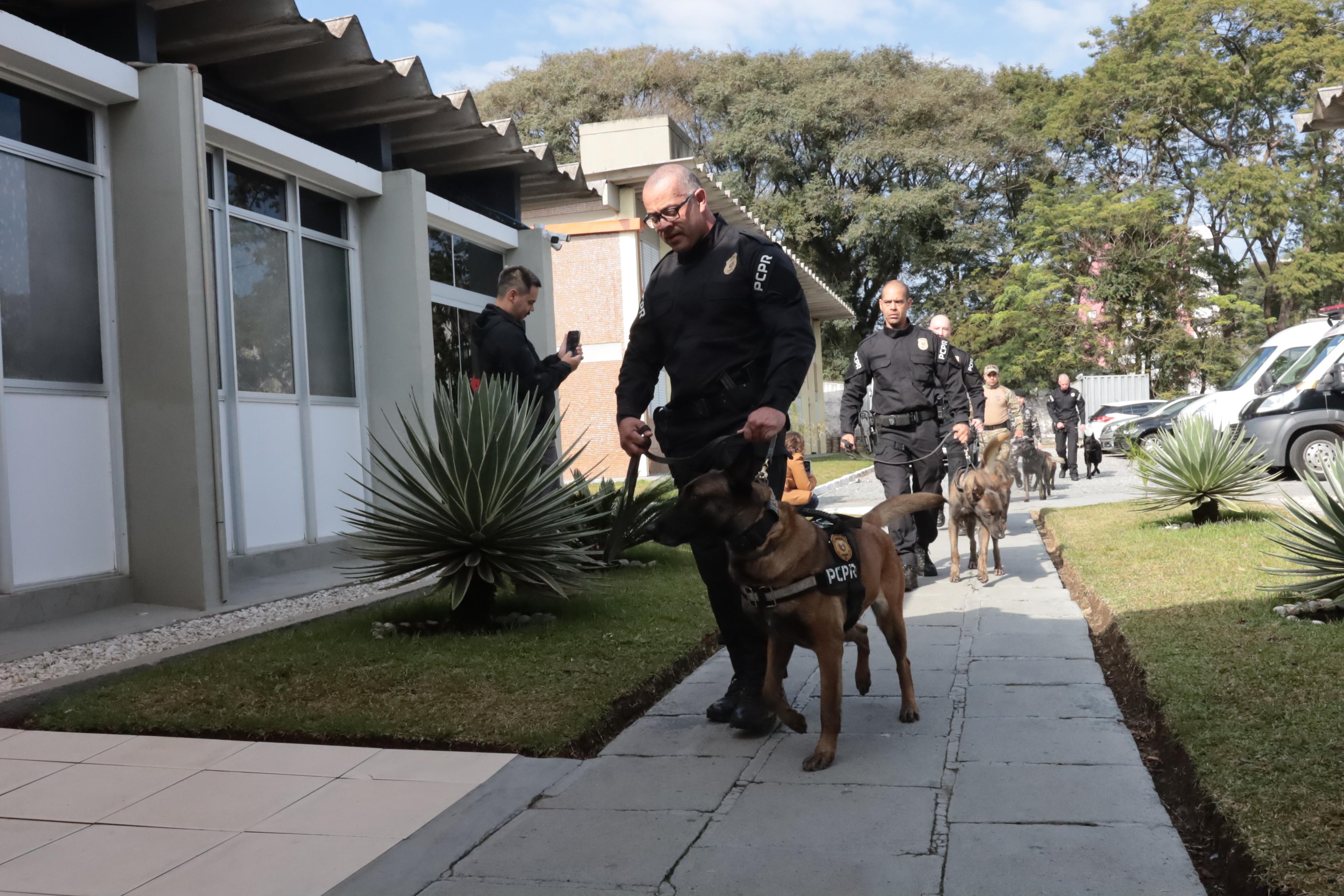 PCPR forma sete condutores em Curso de Operações Policiais com Cães
