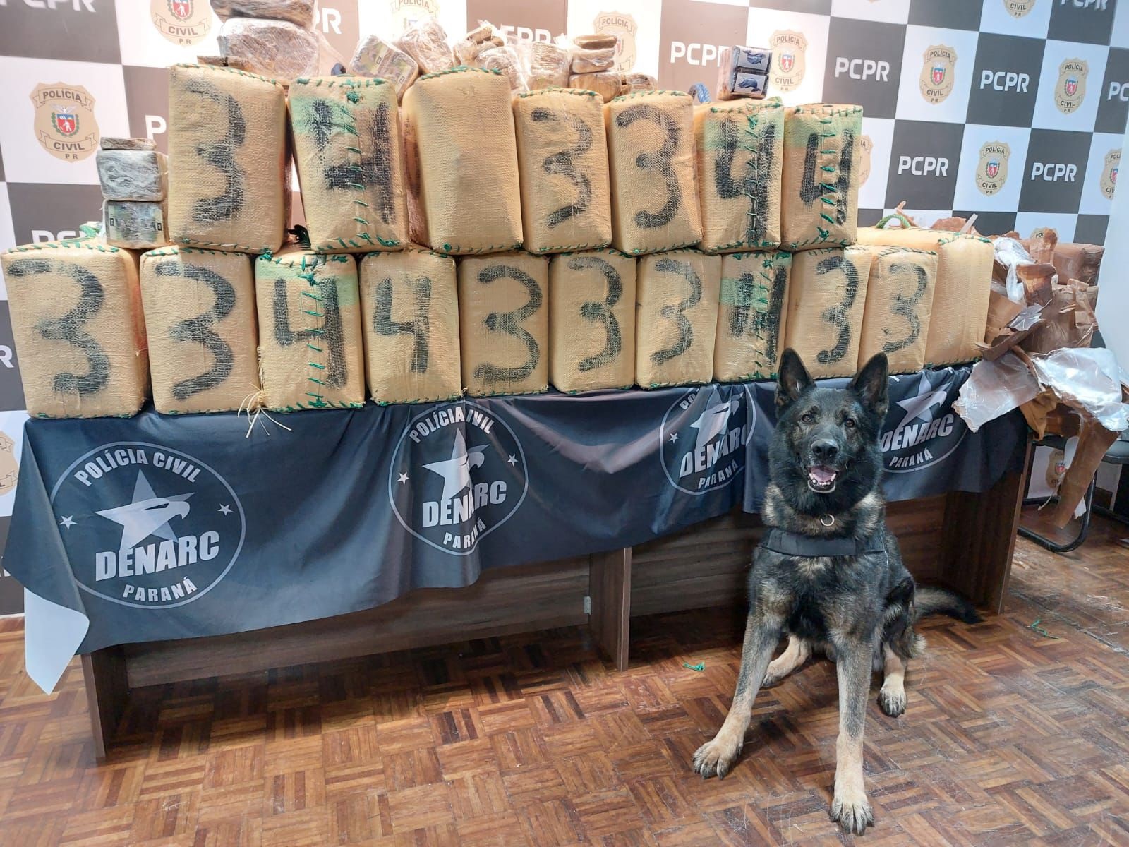 Celebrando 14 anos de atuação, Núcleo de Operações com Cães gerou prejuízo de R$ 61,3 milhões ao crime em 2025
