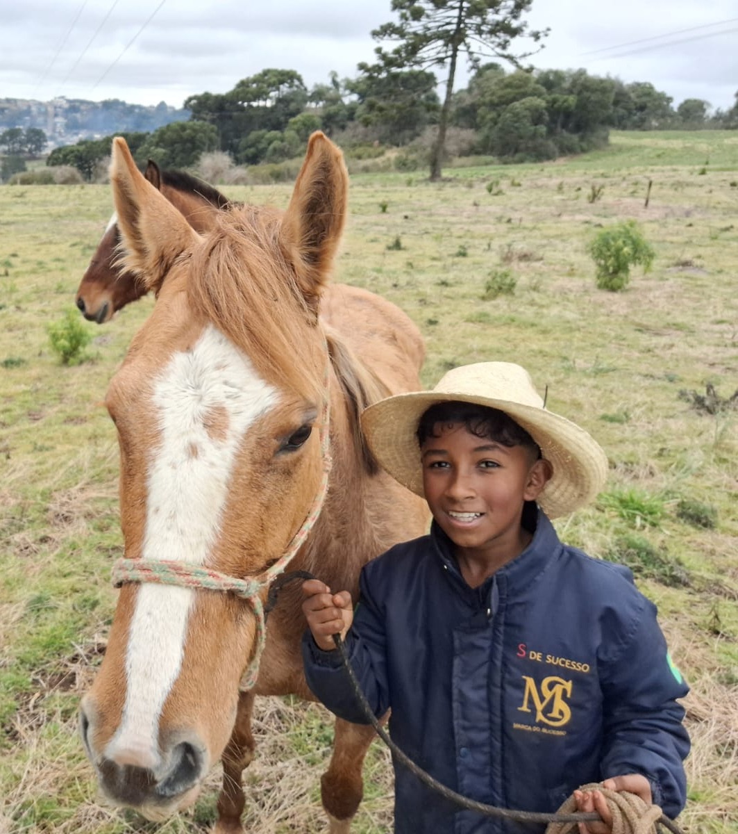 PCPR ajuda menino a encontrar sua égua em Palmas