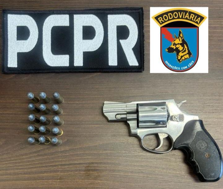 PCPR prende homem por posse ilegal de arma de fogo em Pinhais