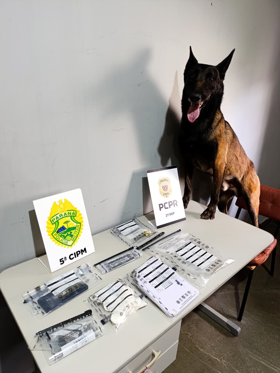 PCPR e PMPR cumprem mandado de busca e apreendem drogas em Cianorte