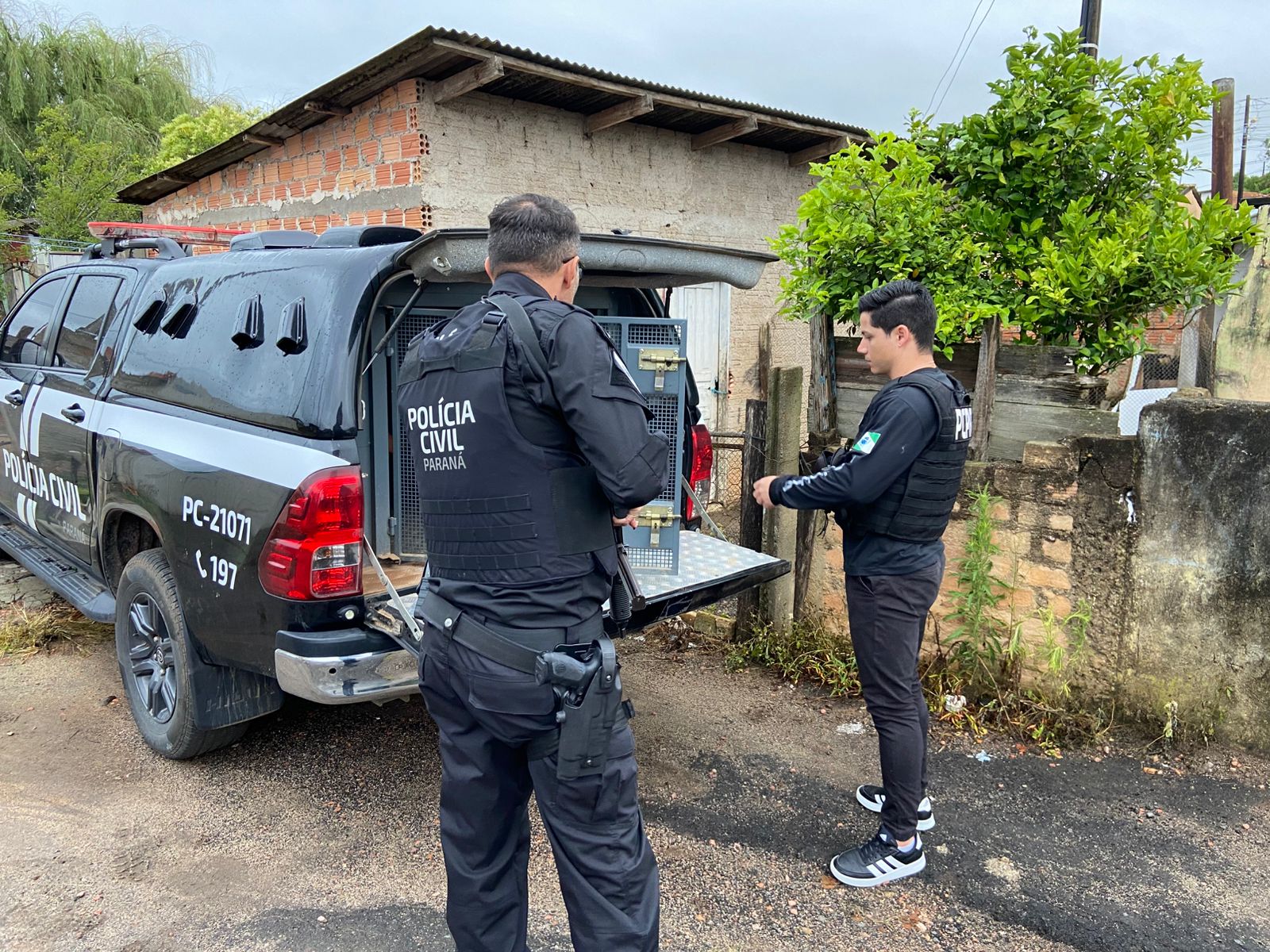 PCPR e PMPR prendem irmão suspeitos de homicídio ocorrido em Castro 