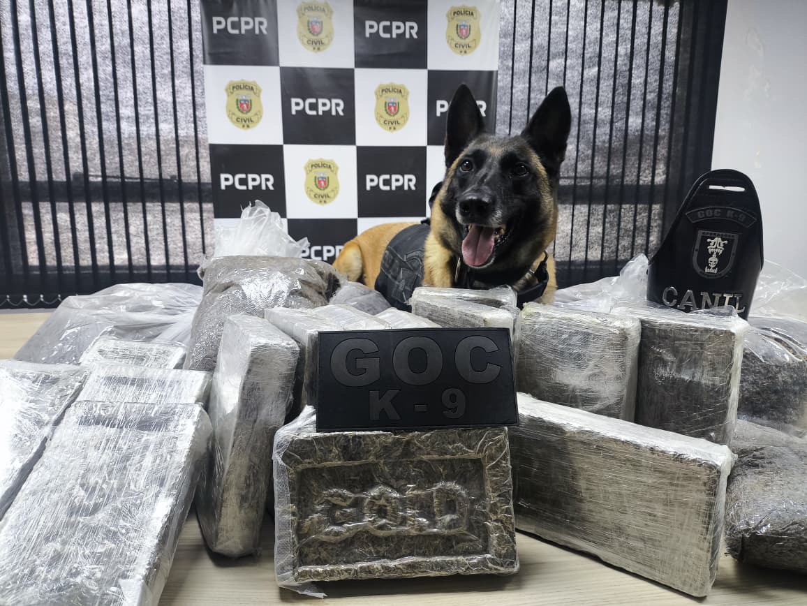 PCPR e GCM prendem homem em flagrante e apreende 30 kg de maconha modificada em Curitiba