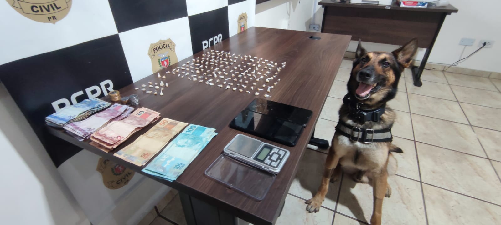 PCPR desarticula esquema de tráfico e prende quatro pessoas em flagrante em Guaratuba 