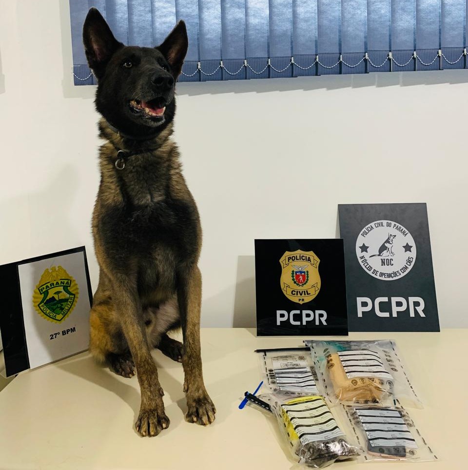 PCPR e PMPR prende homem líder do tráfico de drogas durante operação em São Mateus do Sul