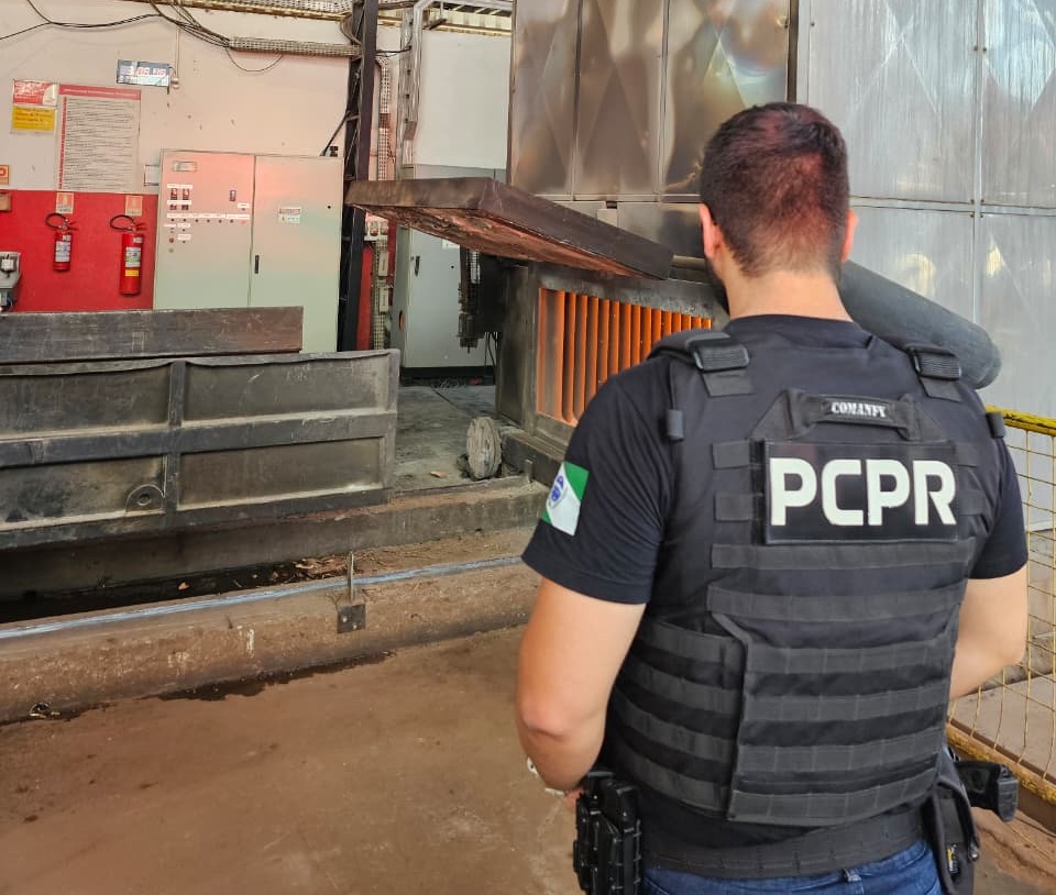 PCPR incinera 10 kg de drogas em Cruzeiro do Oeste