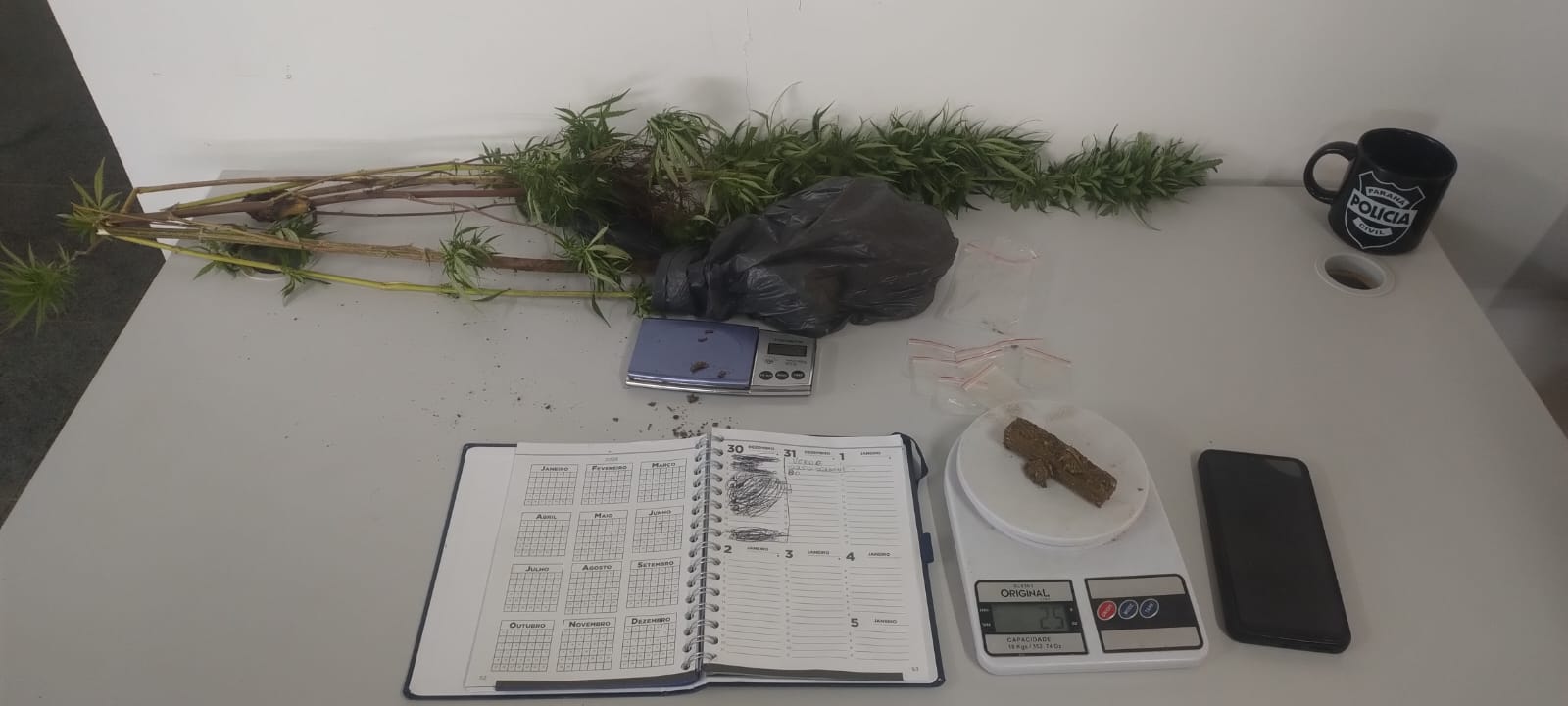 PCPR prende homem em flagrante por tráfico de drogas em Campo Magro 