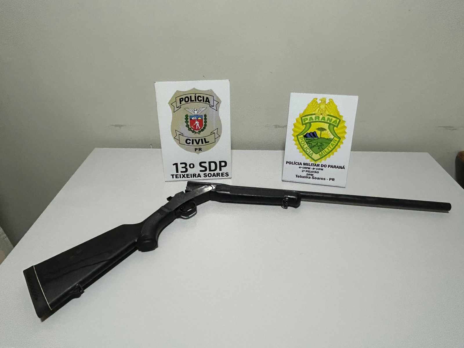 PCPR e PMPR apreendem arma de fogo durante investigação de maus-tratos contra um gato em Fernandes Pinheiro