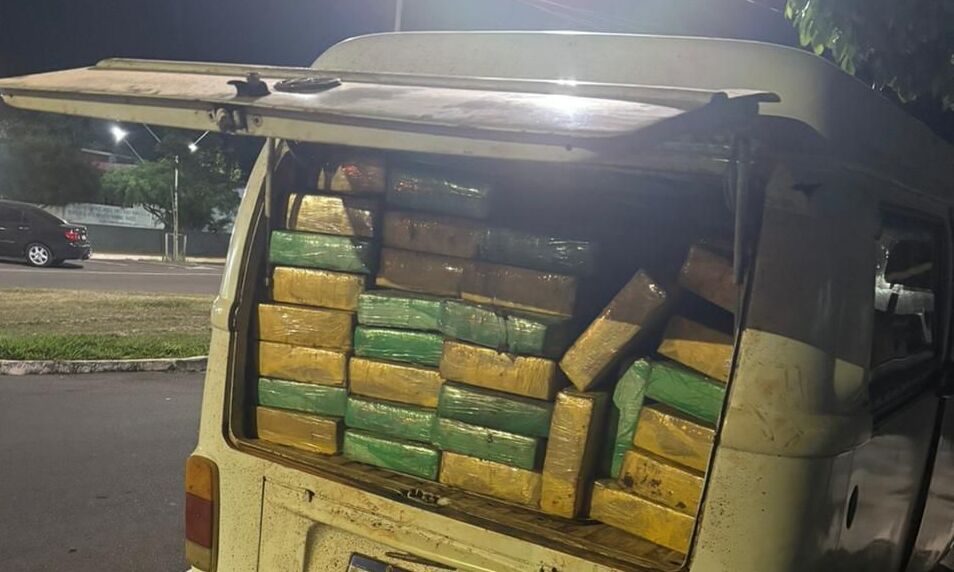 PCPR, PMPR e GCM apreendem cerca de 560 quilos de maconha em Altônia 