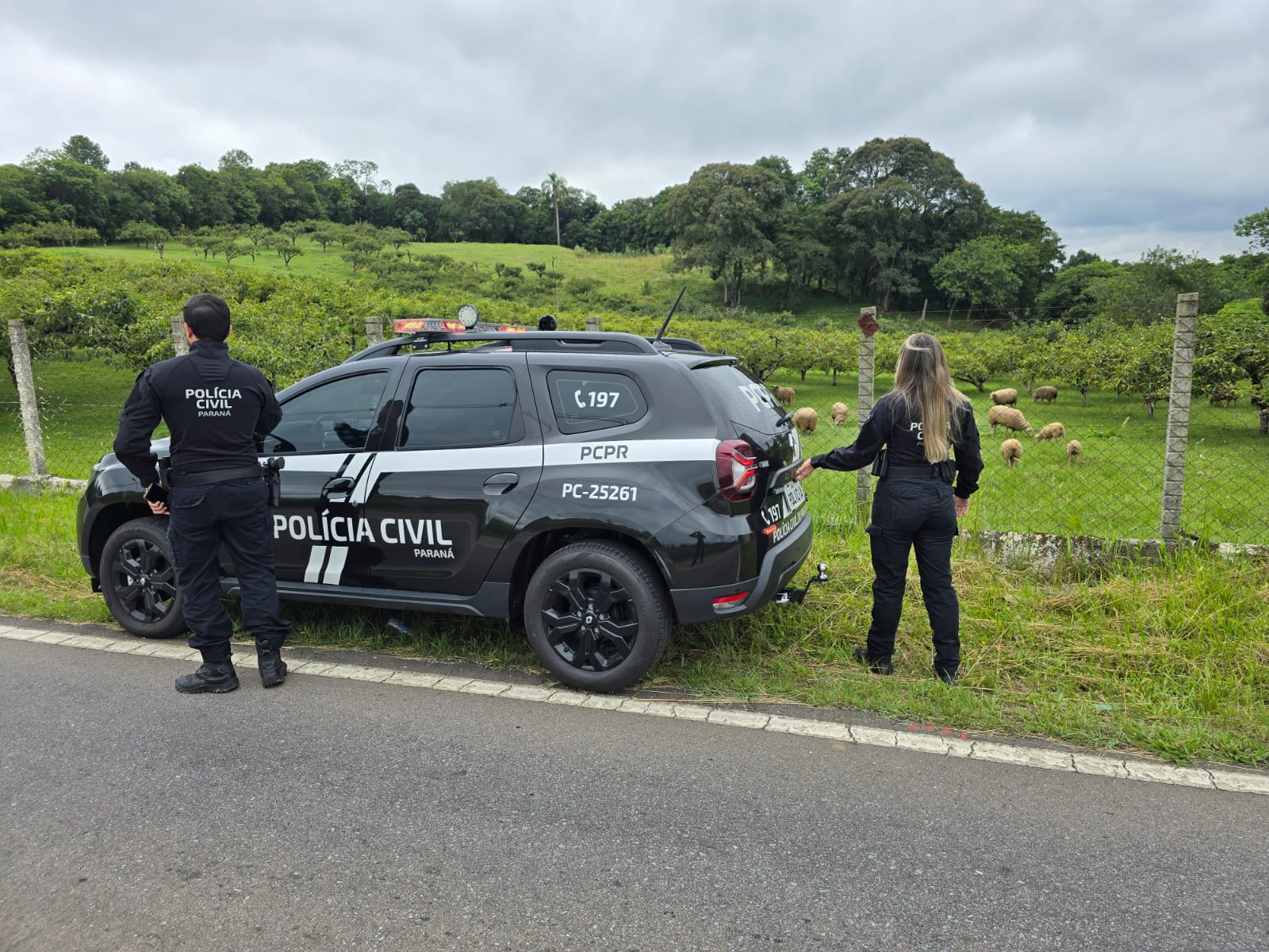 PCPR prende homem em flagrante por crimes no contexto de violência doméstica em Araucária