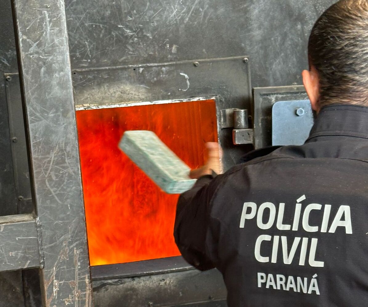 PCPR incinera cerca de 300 quilos de drogas em Fazenda Rio Grande 