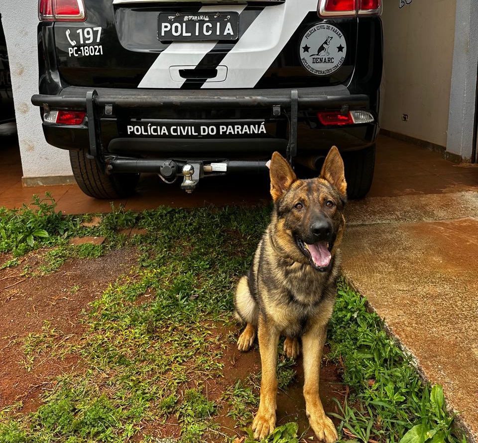 PCPR prende homem em flagrante por tráfico de drogas em Três Barras do Paraná 