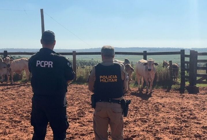 PCPR e PMPR recuperam bovinos furtados durante cumprimento de mandado em Alto Paraíso
