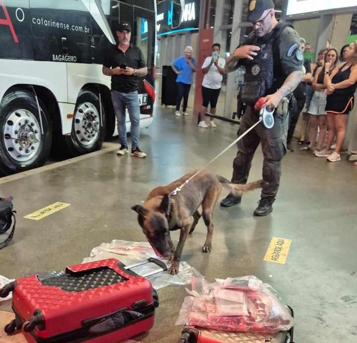 PCPR prende homem que transportava drogas em ônibus interestadual em Londrina