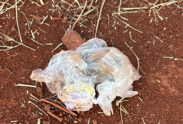 PCPR e GCM prendem três pessoas durante operação em Londrina 